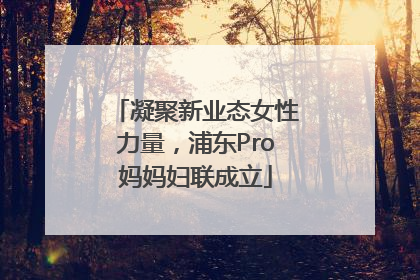 凝聚新业态女性力量，浦东Pro妈妈妇联成立