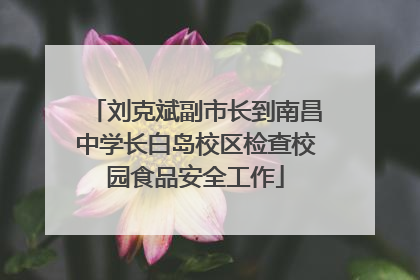 刘克斌副市长到南昌中学长白岛校区检查校园食品安全工作