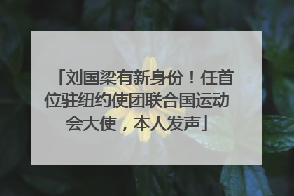 刘国梁有新身份！任首位驻纽约使团联合国运动会大使，本人发声