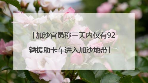加沙官员称三天内仅有92辆援助卡车进入加沙地带