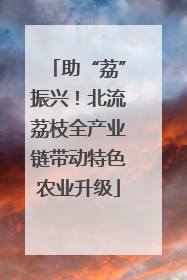 助“荔”振兴！北流荔枝全产业链带动特色农业升级