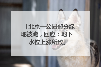 北京一公园部分绿地被淹，回应：地下水位上涨所致