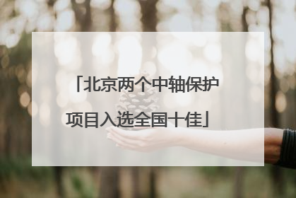 北京两个中轴保护项目入选全国十佳
