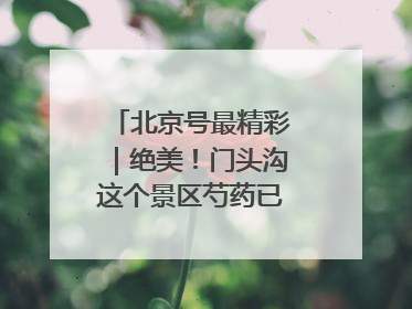 北京号最精彩｜绝美！门头沟这个景区芍药已花开成海