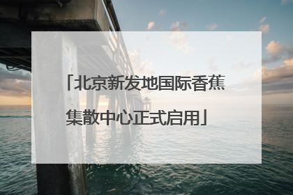 北京新发地国际香蕉集散中心正式启用