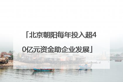 北京朝阳每年投入超40亿元资金助企业发展