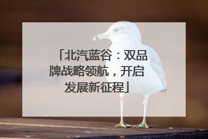 北汽蓝谷：双品牌战略领航，开启发展新征程