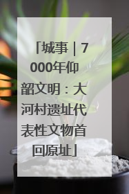 城事｜7000年仰韶文明：大河村遗址代表性文物首回原址