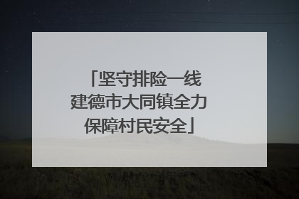 坚守排险一线 建德市大同镇全力保障村民安全