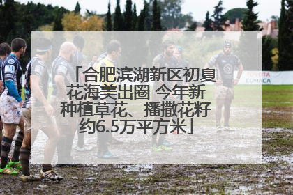 合肥滨湖新区初夏花海美出圈 今年新种植草花、播撒花籽约6.5万平方米