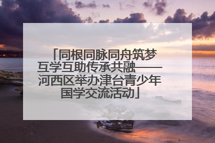 同根同脉同舟筑梦 互学互助传承共融——河西区举办津台青少年国学交流活动