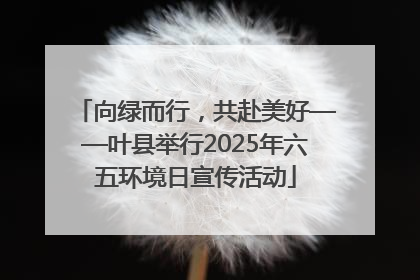 向绿而行，共赴美好——叶县举行2025年六五环境日宣传活动