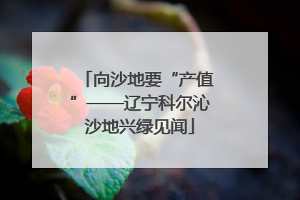 向沙地要“产值”——辽宁科尔沁沙地兴绿见闻