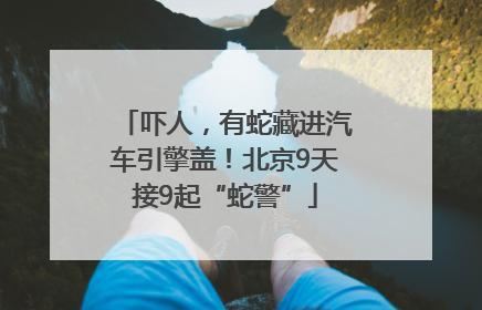 吓人，有蛇藏进汽车引擎盖！北京9天接9起“蛇警”