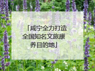 咸宁全力打造全国知名文旅康养目的地