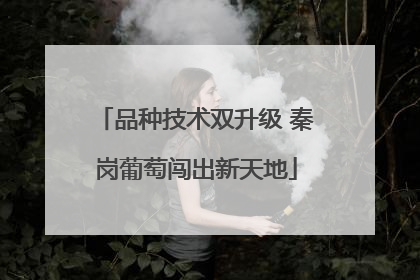品种技术双升级 秦岗葡萄闯出新天地