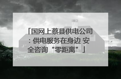 国网上蔡县供电公司：供电服务在身边 安全咨询“零距离”