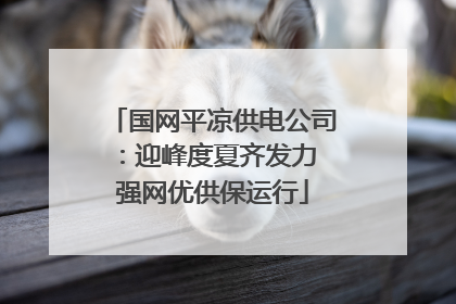 国网平凉供电公司：迎峰度夏齐发力 强网优供保运行