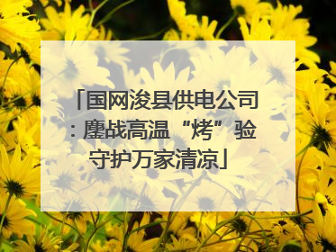国网浚县供电公司：鏖战高温“烤”验 守护万家清凉