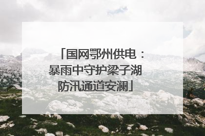 国网鄂州供电：暴雨中守护梁子湖防汛通道安澜