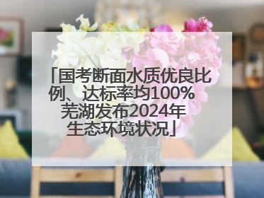 国考断面水质优良比例、达标率均100% 芜湖发布2024年生态环境状况