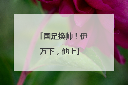 国足换帅！伊万下，他上