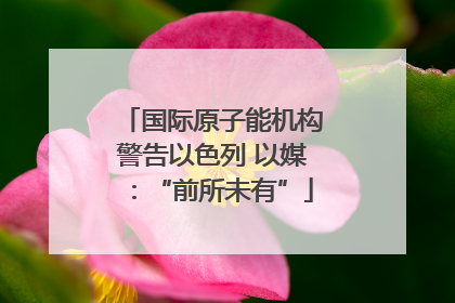 国际原子能机构警告以色列 以媒：“前所未有”