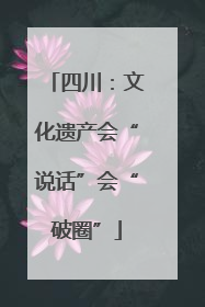 四川：文化遗产会“说话”会“破圈”