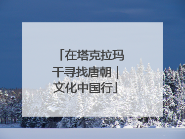 在塔克拉玛干寻找唐朝｜文化中国行