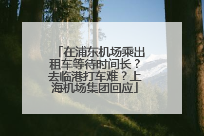 在浦东机场乘出租车等待时间长？去临港打车难？上海机场集团回应