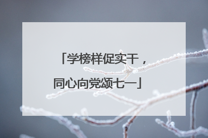 学榜样促实干，同心向党颂七一
