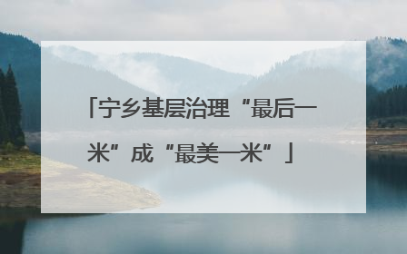 宁乡基层治理“最后一米”成“最美一米”