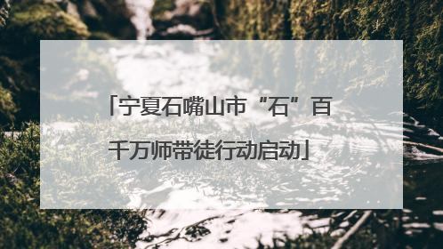宁夏石嘴山市“石”百千万师带徒行动启动