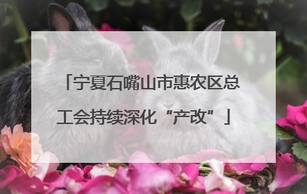 宁夏石嘴山市惠农区总工会持续深化“产改”