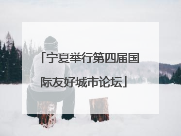 宁夏举行第四届国际友好城市论坛