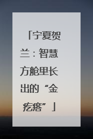 宁夏贺兰：智慧方舱里长出的“金疙瘩”