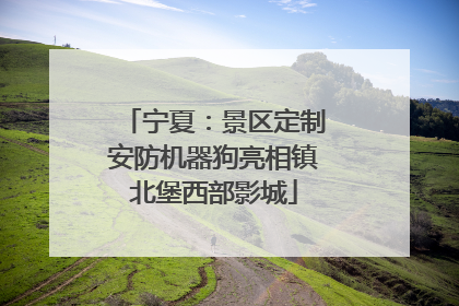 宁夏：景区定制安防机器狗亮相镇北堡西部影城