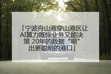 宁波舟山港穿山港区让AI算力既懂业务又能决策 20年的数据“喂”出更聪明的港口