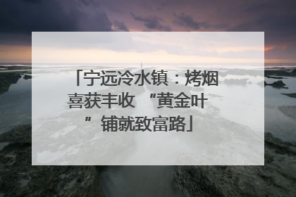 宁远冷水镇：烤烟喜获丰收 “黄金叶”铺就致富路