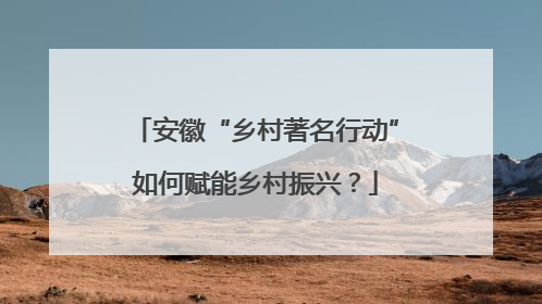 安徽“乡村著名行动”如何赋能乡村振兴？