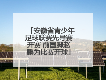 安徽省青少年足球联赛先导赛开赛 前国脚赵鹏为比赛开球