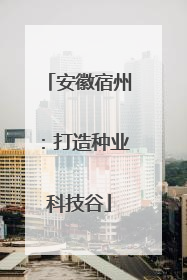 安徽宿州：打造种业科技谷