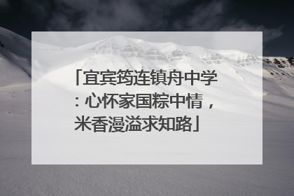 宜宾筠连镇舟中学：心怀家国粽中情，米香漫溢求知路