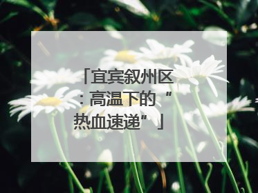 宜宾叙州区：高温下的“热血速递”
