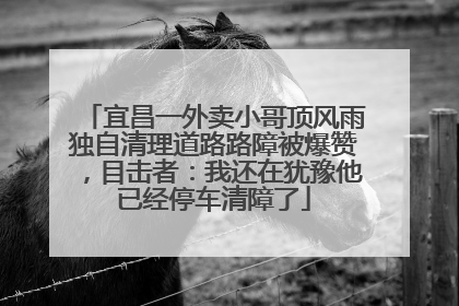 宜昌一外卖小哥顶风雨独自清理道路路障被爆赞，目击者：我还在犹豫他已经停车清障了