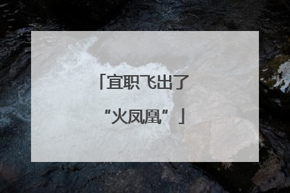 宜职飞出了“火凤凰”