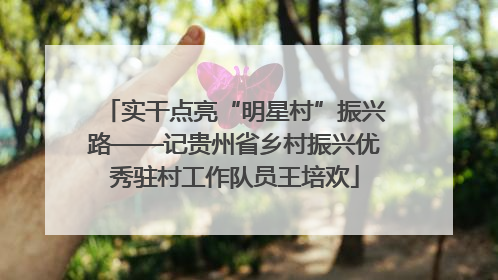 实干点亮“明星村”振兴路——记贵州省乡村振兴优秀驻村工作队员王培欢