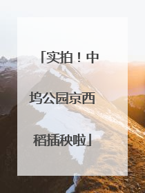 实拍！中坞公园京西稻插秧啦