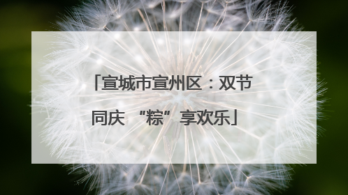 宣城市宣州区：双节同庆 “粽”享欢乐