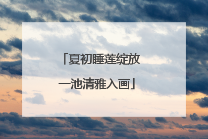 夏初睡莲绽放 一池清雅入画